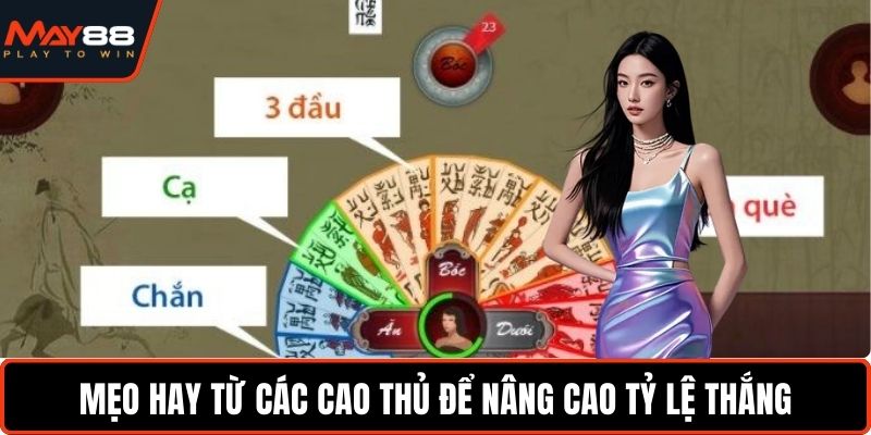Hướng Dẫn Chơi Chắn - Cẩm Nang Toàn Tập Cho Người Mới Mẹo hay từ các cao thủ để nâng cao tỷ lệ thắng